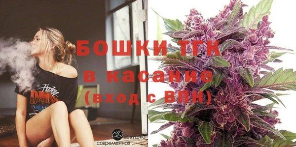 ГАЛЛЮЦИНОГЕННЫЕ ГРИБЫ Белокуриха