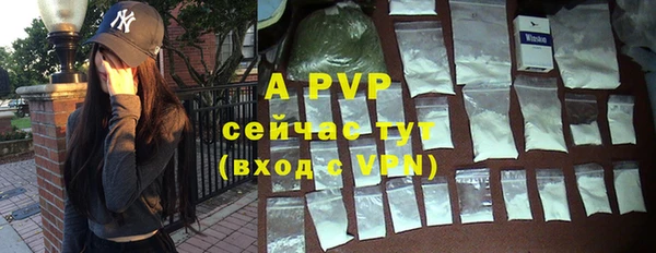 ГАЛЛЮЦИНОГЕННЫЕ ГРИБЫ Белокуриха