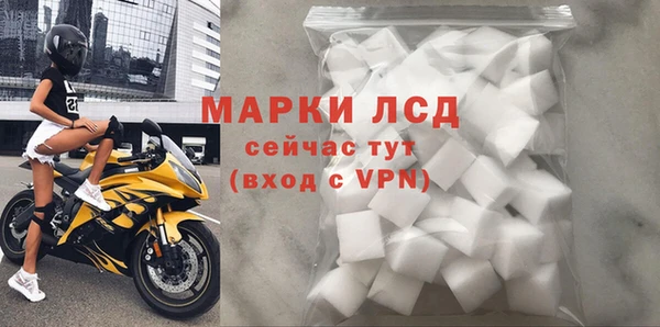 ГАЛЛЮЦИНОГЕННЫЕ ГРИБЫ Белокуриха