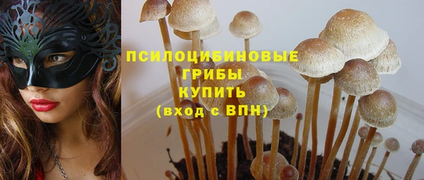 дживик Беломорск