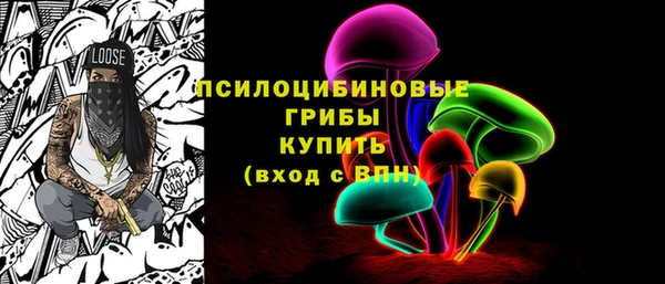 ГАЛЛЮЦИНОГЕННЫЕ ГРИБЫ Белокуриха