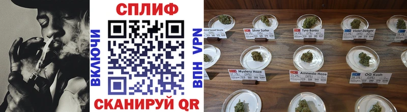 как найти закладки mega ссылки Каннабис SATIVA & INDICA Курильск
